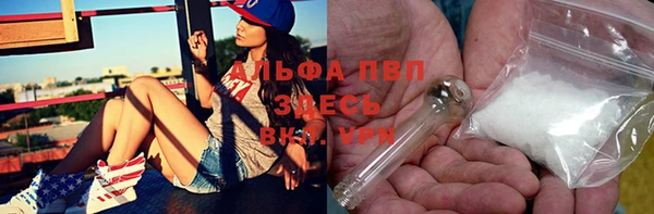 сатива Ельня