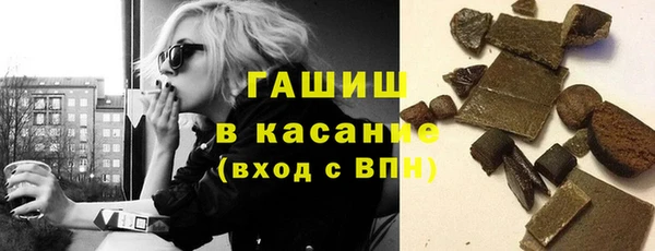 сатива Ельня