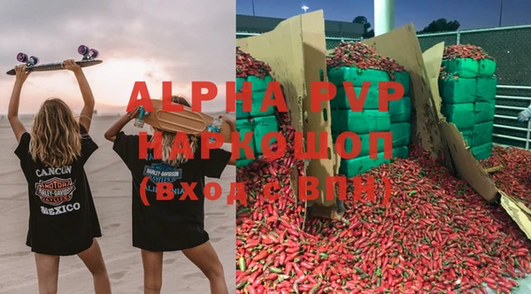 PSILOCYBIN Елизово