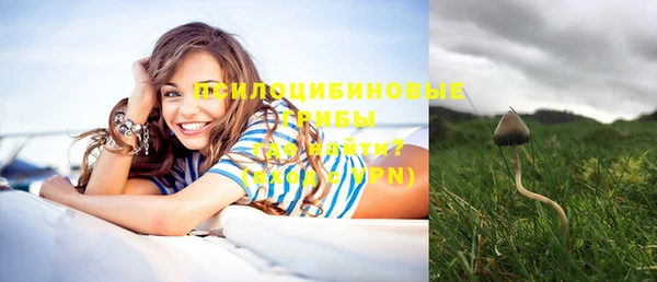 PSILOCYBIN Елизово