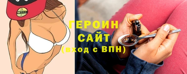 сатива Ельня