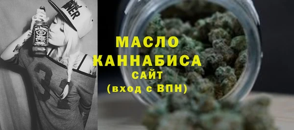 сатива Ельня