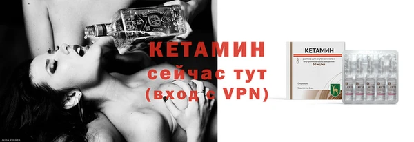 сатива Ельня