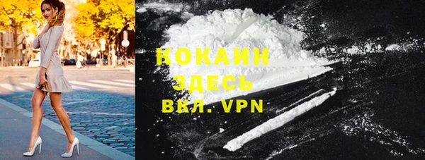сатива Ельня