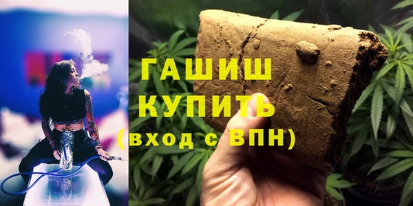 сатива Ельня