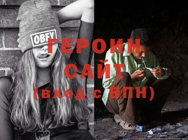 сатива Ельня