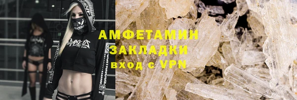 сатива Ельня