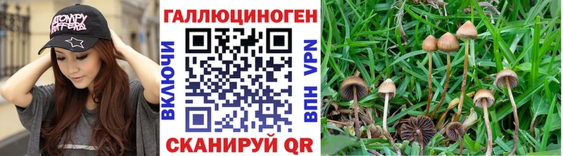 Галлюциногенные грибы ЛСД  Купить закладки  Кандалакша 